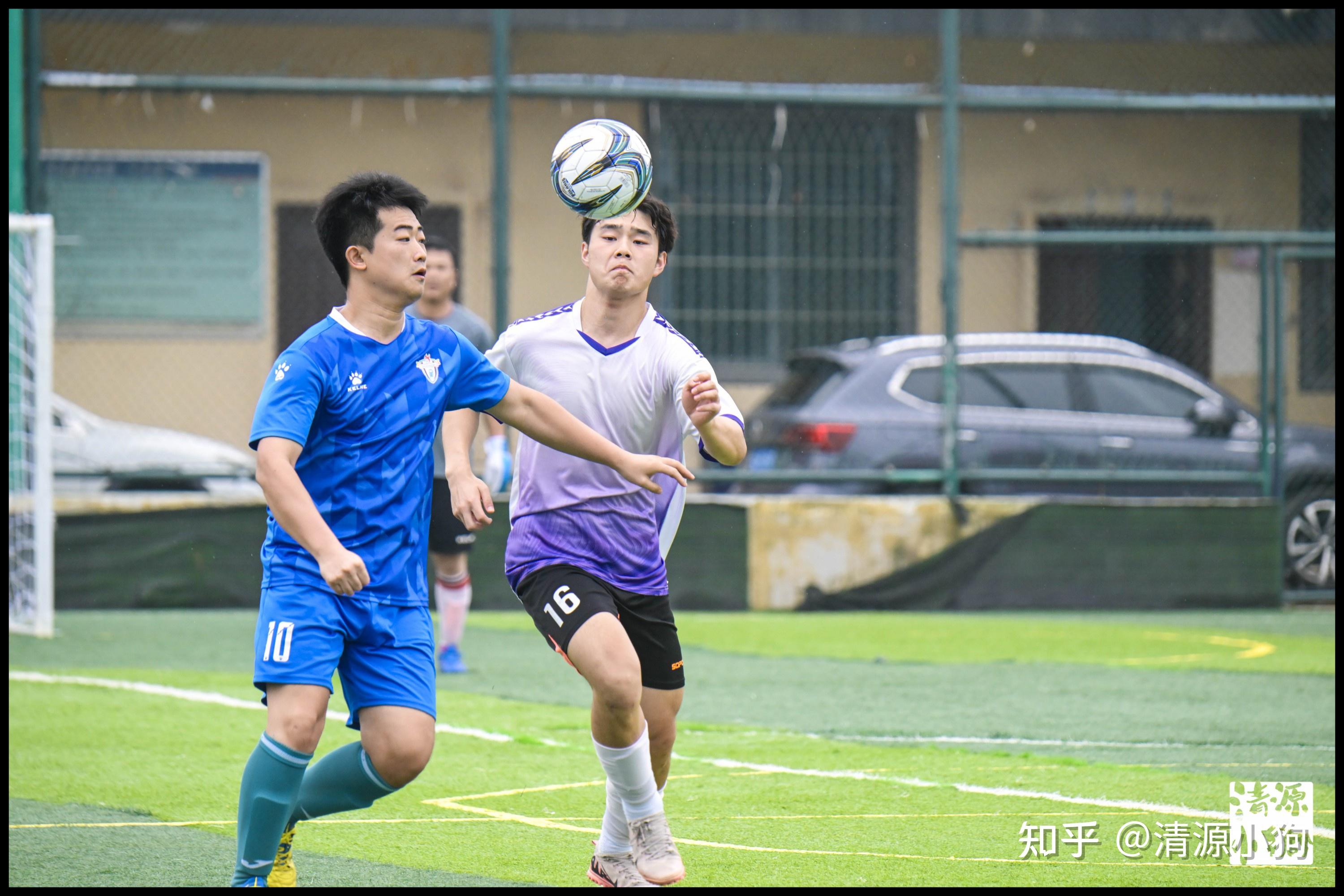 中国人完全 中国人完全