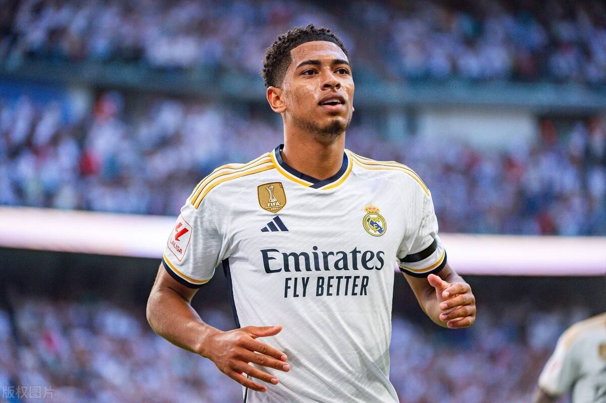 模块化字段 模块化字段